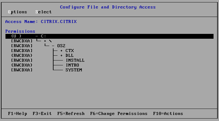Citrix Multuser - Configur.png