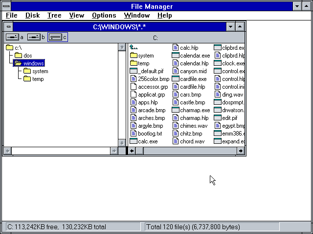 Microsoft Windows 3.1 - File Manager