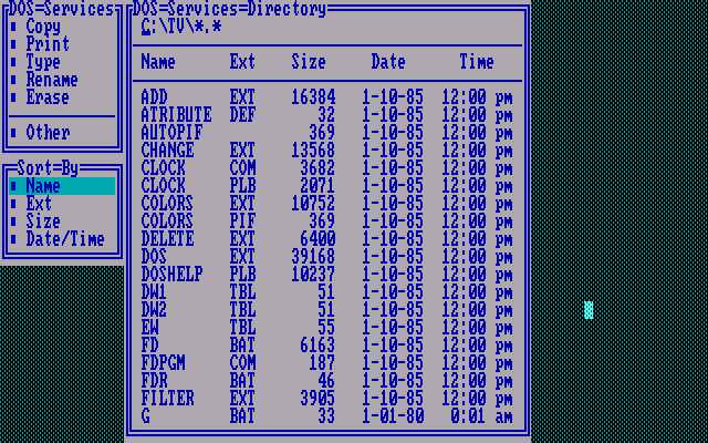 TopView 1.00 - DOS Services.png