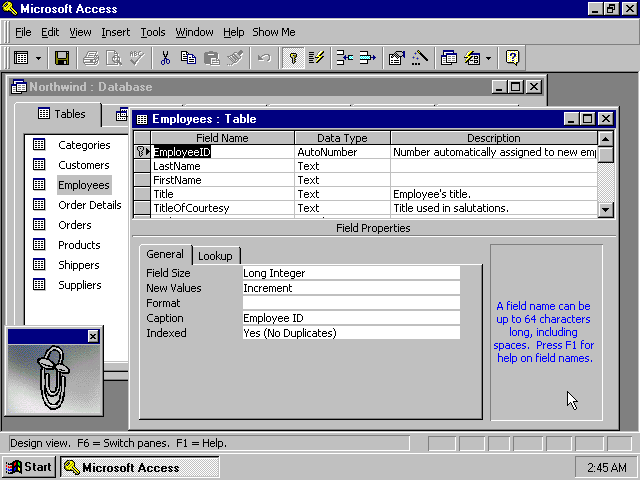 Microsoft Access 97 - Table