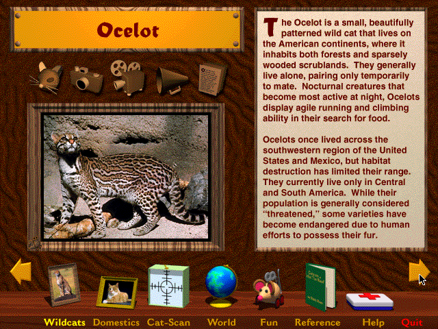 Ccats Database WinWorld: Multimedia Cats 1.0