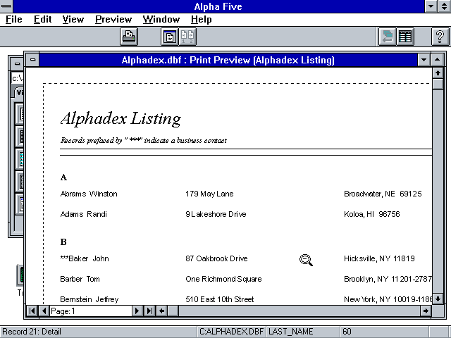 Alpha Five for Windows - Report