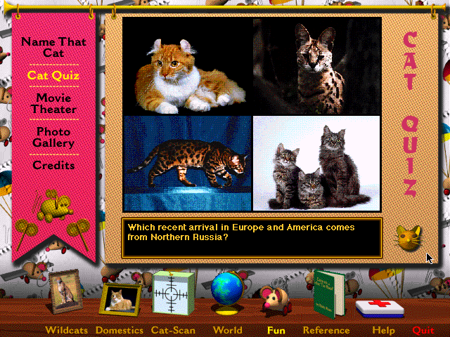 Multimedia%20Cats%20-%20Game.png